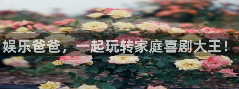 长运娱乐平台注册：娱乐爸爸，一起玩转家庭喜剧大王！