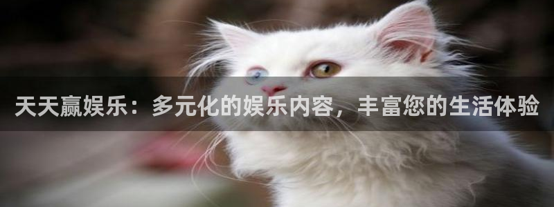 长运娱乐：天天赢娱乐：多元化的娱乐内容，丰富您的生活体验