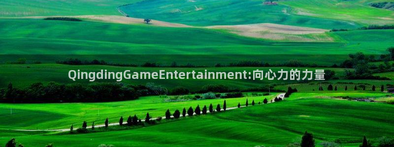 长运娱乐平台注册：QingdingGameEntertainment:向心力的力量