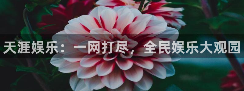 长运娱乐平台测速登录：天涯娱乐：一网打尽，全民娱乐大观园