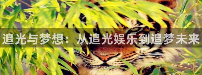 长运娱乐平台注册：追光与梦想：从追光娱乐到追梦未来